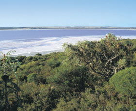 Pink Lake - Restaurant Gold Coast 0
