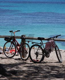 Parker Point Marine Snorkel Trail - Restaurant Gold Coast 0