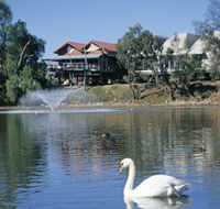 White Swans - Restaurant Gold Coast
