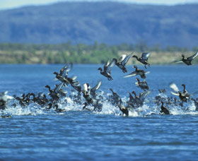 Ord River - Restaurant Gold Coast 0