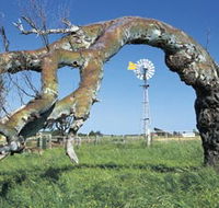 Greenough Leaning Trees - Restaurant Gold Coast