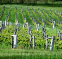 Sienna Estate Winery - Restaurant Gold Coast