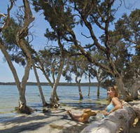 Stokes National Park - Restaurant Gold Coast