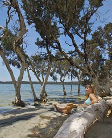 Stokes National Park - Restaurant Gold Coast 0