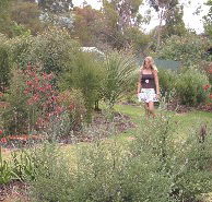 The Mythic Mazes - Restaurant Gold Coast
