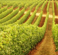 Xanadu Wines - Restaurant Gold Coast