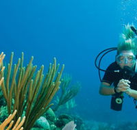 Coastal Water Dive - Restaurant Gold Coast