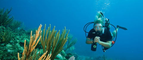 Coastal Water Dive - Restaurant Gold Coast 0