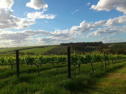 Plantagenet Wines - Restaurant Gold Coast 1