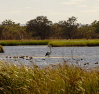 Anytime Adventures in Mandurah  the Peel Region - Restaurant Gold Coast