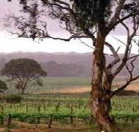Yangarra Estate Vineyard - Restaurant Gold Coast