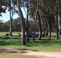 Black Cockatoo Bush Camp - Restaurant Gold Coast