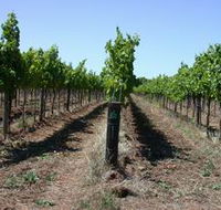 Temple Bruer Winery - Restaurant Gold Coast