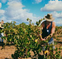 Torbreck Vintners - Restaurant Gold Coast