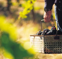 Burge Family Winemakers - Restaurant Gold Coast