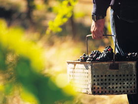 Burge Family Winemakers - Restaurant Gold Coast 0