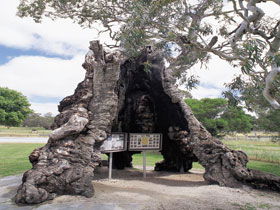 Springton SA Restaurant Gold Coast