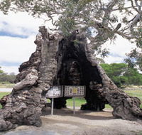 The Herbig Family Tree - Restaurant Gold Coast