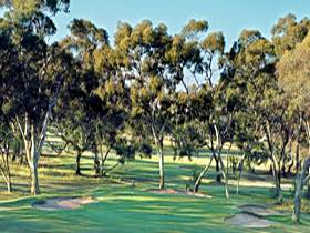 Tanunda Pines Golf Club - Restaurant Gold Coast 0