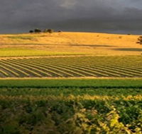 Kellermeister Wines - Restaurant Gold Coast