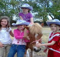 Amberainbow Pony Rides - Restaurant Gold Coast