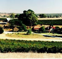 Irvine Wines - Restaurant Gold Coast