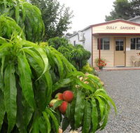 Gully Gardens - Restaurant Gold Coast