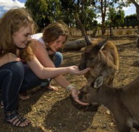Kangaroo Island Wildlife Park - Restaurant Gold Coast