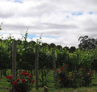 Manyara Vineyard - Restaurant Gold Coast
