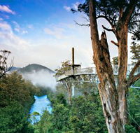 Tahune Adventures Tasmania - Restaurant Gold Coast