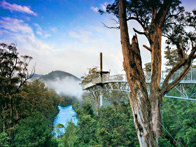 Tahune Adventures Tasmania - Restaurant Gold Coast 0