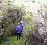 Jack And Hilda McArthur Walk - Restaurant Gold Coast