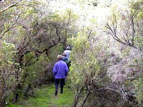 Jack And Hilda McArthur Walk - Restaurant Gold Coast 0