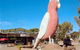 The Big Galah - thumb 0