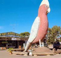 The Big Galah - Restaurant Gold Coast