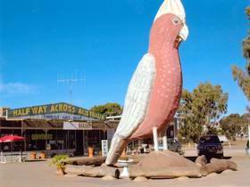 The Big Galah - Restaurant Gold Coast 0