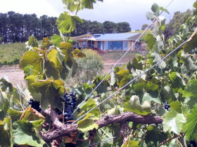 Fleurieu Peninsula SA Restaurant Gold Coast
