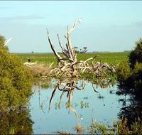 Bool Lagoon Game Reserve and Hacks Lagoon Conservation Park - Restaurant Gold Coast