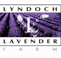 Lyndoch Lavender Farm and Cafe - Restaurant Gold Coast