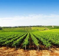 Aldinga Bay Winery - Restaurant Gold Coast