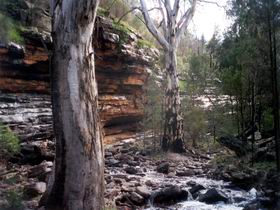 Mambray Creek SA Restaurant Gold Coast