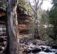 Mount Remarkable National Park - Restaurant Gold Coast