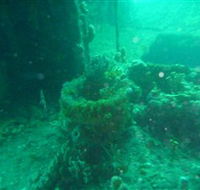 Wallaroo Scuba Club - Restaurant Gold Coast