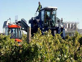 Ballast Stone Estate Wines Pty Ltd - Restaurant Gold Coast 0
