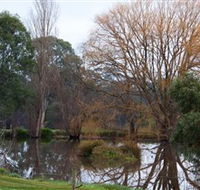 Gemtree Wetlands Ecotrail - Restaurant Gold Coast