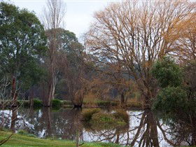 Gemtree Wetlands Ecotrail - Restaurant Gold Coast 0