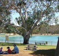 Naracoorte Nature Park and Swimming Lake - Restaurant Gold Coast
