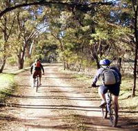 Bike About Mountain Bike Tours And Hire - Restaurant Gold Coast