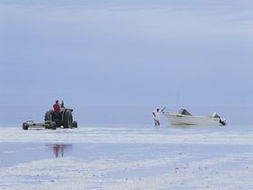 Book Point Turton SA Attractions Restaurant Gold Coast Restaurant Gold Coast