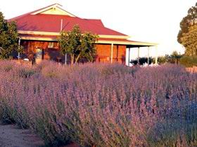 Bella Lavender Estate - Restaurant Gold Coast 0